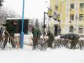 SAF helps the citizens of Serbia in clearing the snow